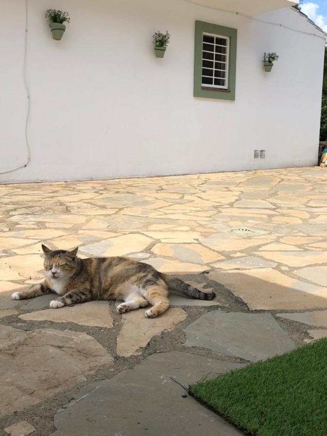 Holiday home Mikaela House Marbella Malaga Estepona